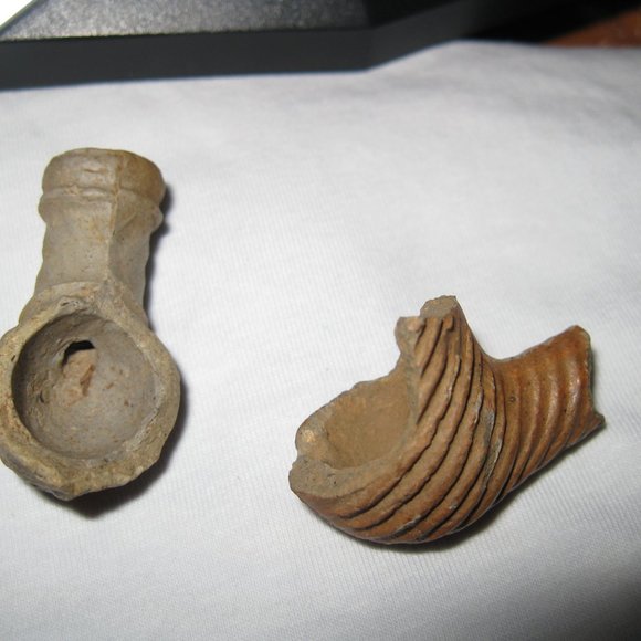 Indian Pipes from the mid west - Picture 3 of 16